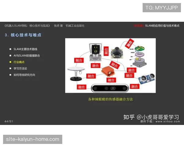 深入解析身体接触判罚的判定标准与实战应用